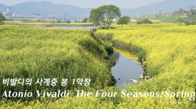 사계음악사 이미지