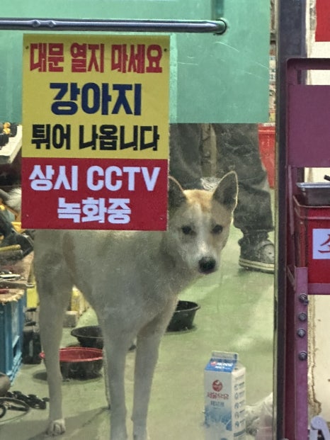 고기마켓트 이미지
