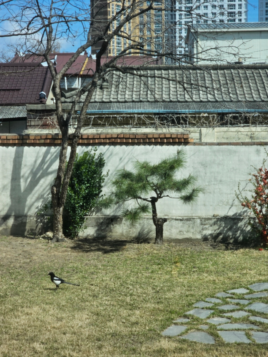배산주유소 이미지