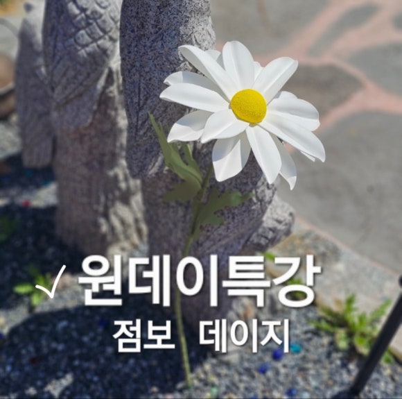 리본미리내 이미지