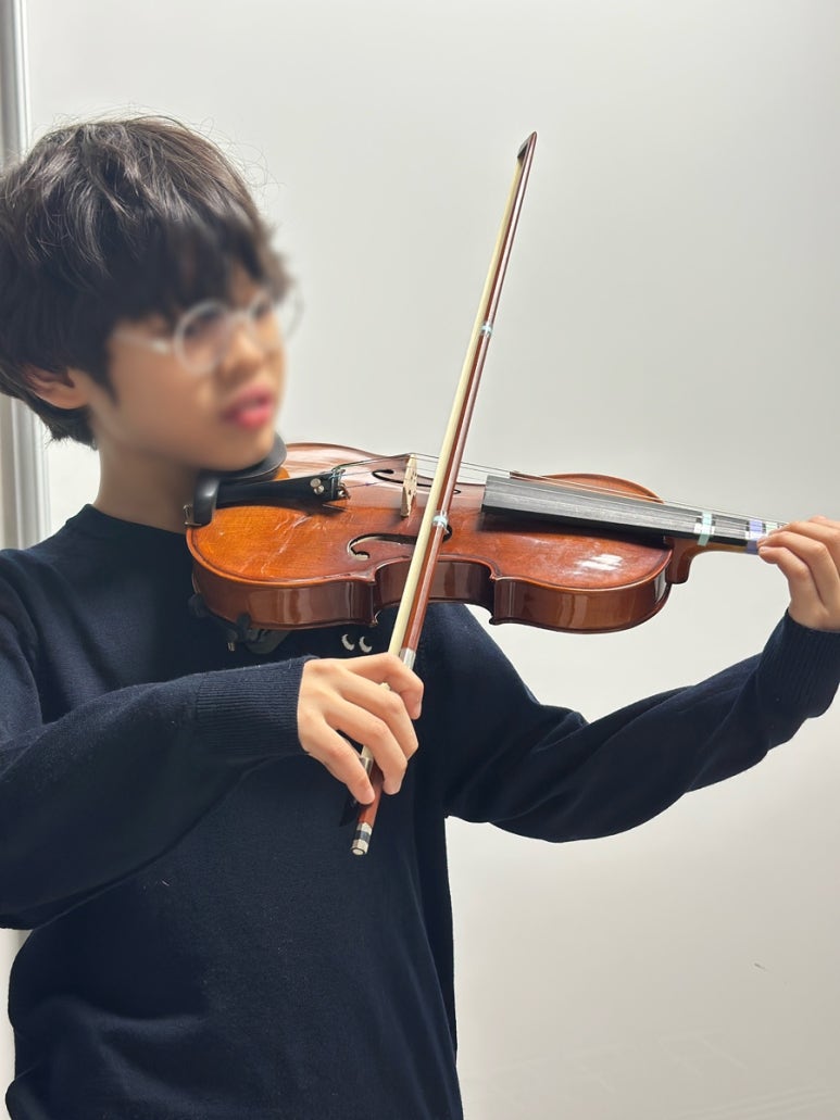 엘스트링 이미지