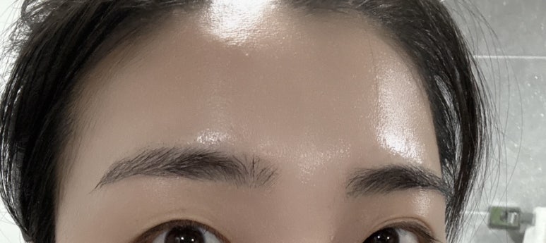 시연피아 이미지
