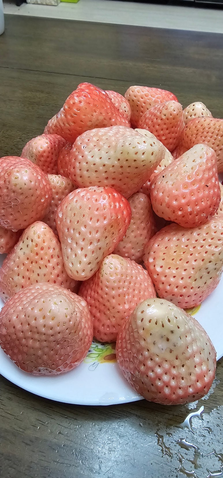 홍희푸드 이미지