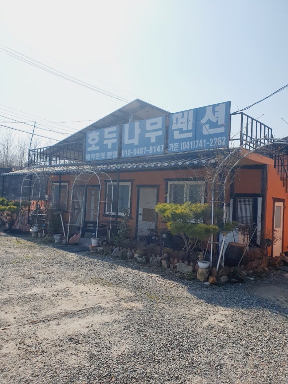 호두나무펜션 이미지