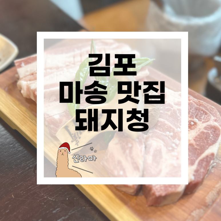 돼지청 이미지