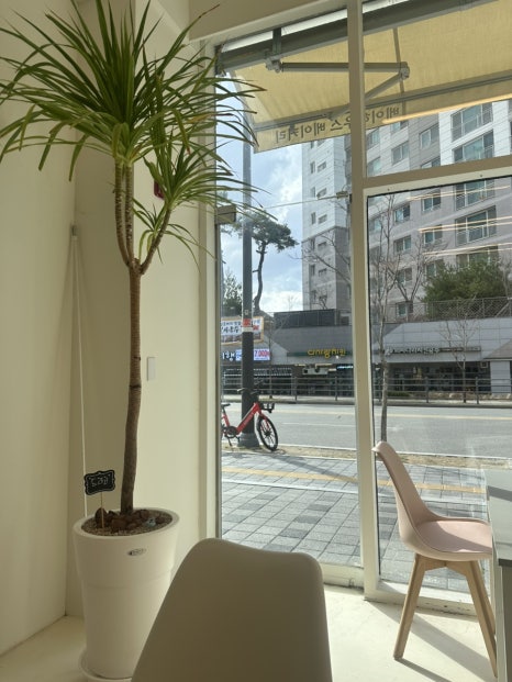베이하우스베이커리 이미지
