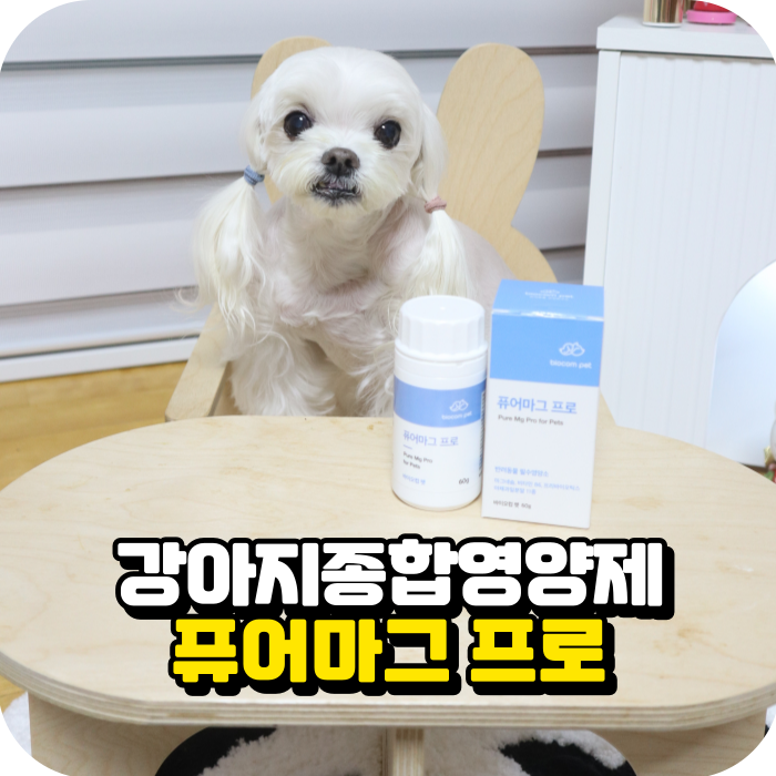 퓨어종합관리 이미지