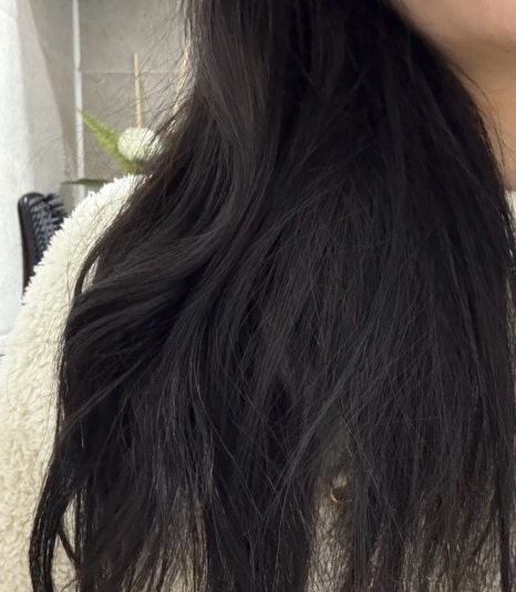 오브르헤어 이미지