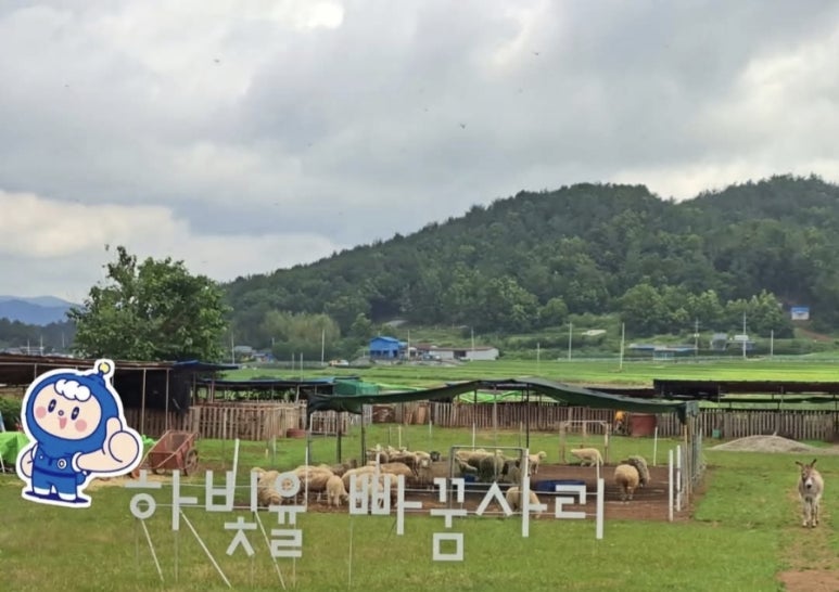 빠꿈사리 이미지