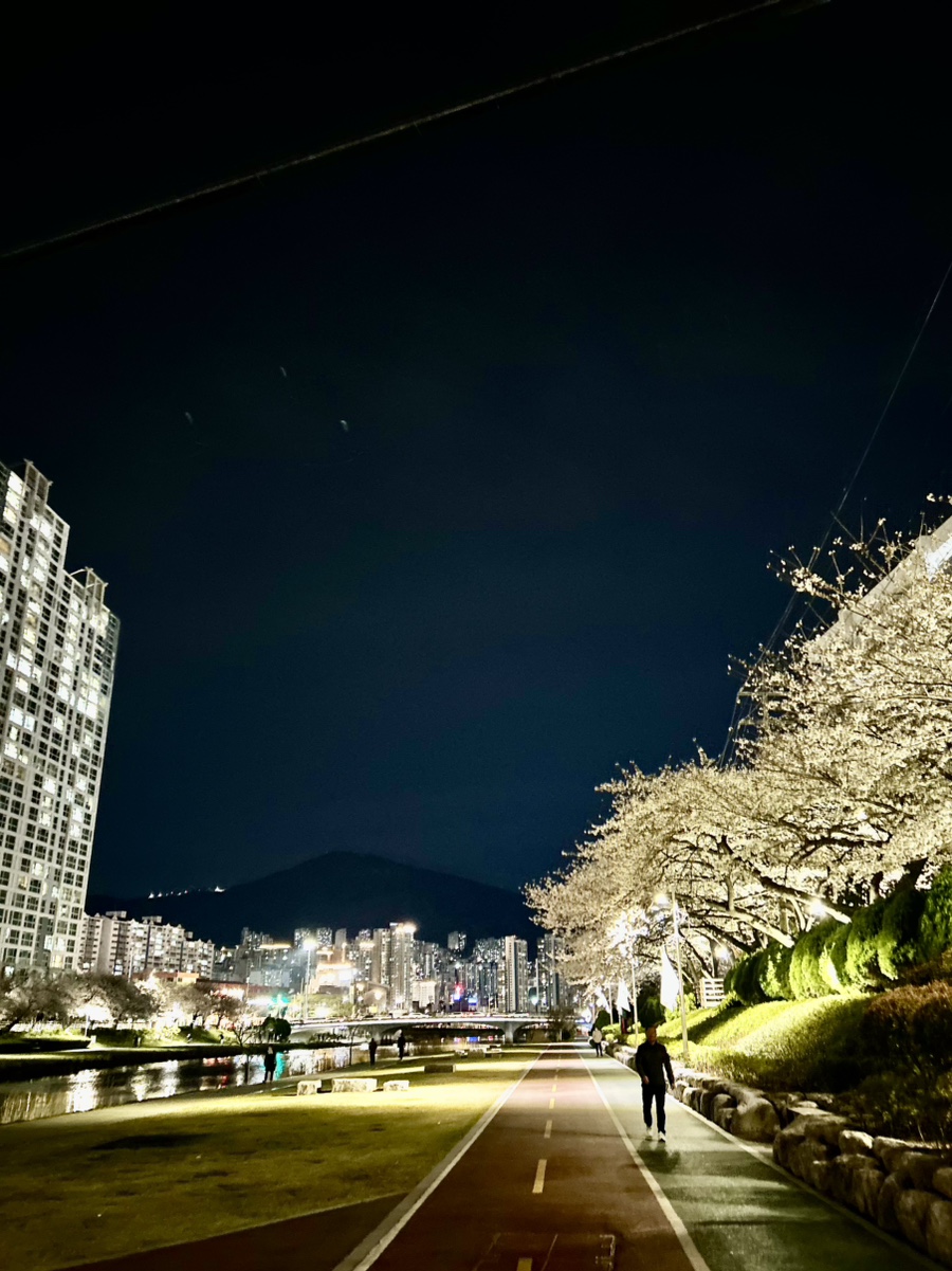 바 쉘터(Bar shelter) 이미지