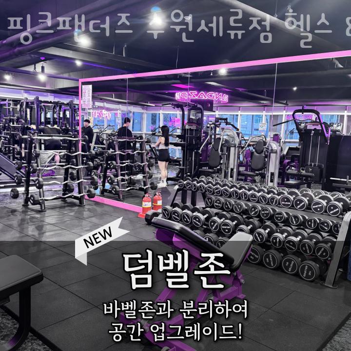 핑크팬더즈수원 이미지