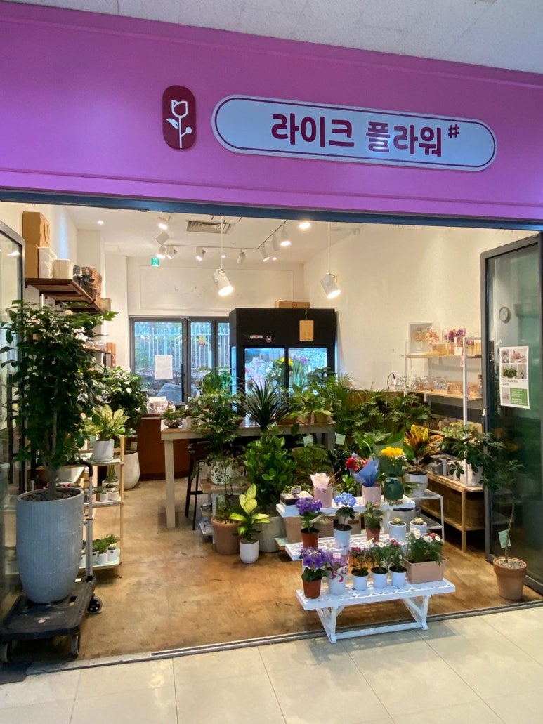 라이크플라워샾 이미지