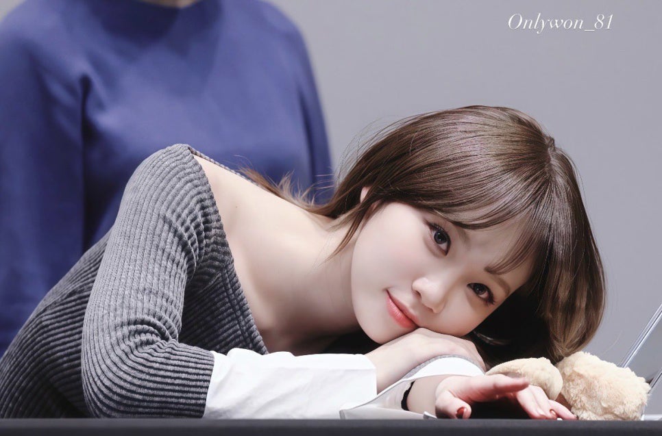 르포유 이미지