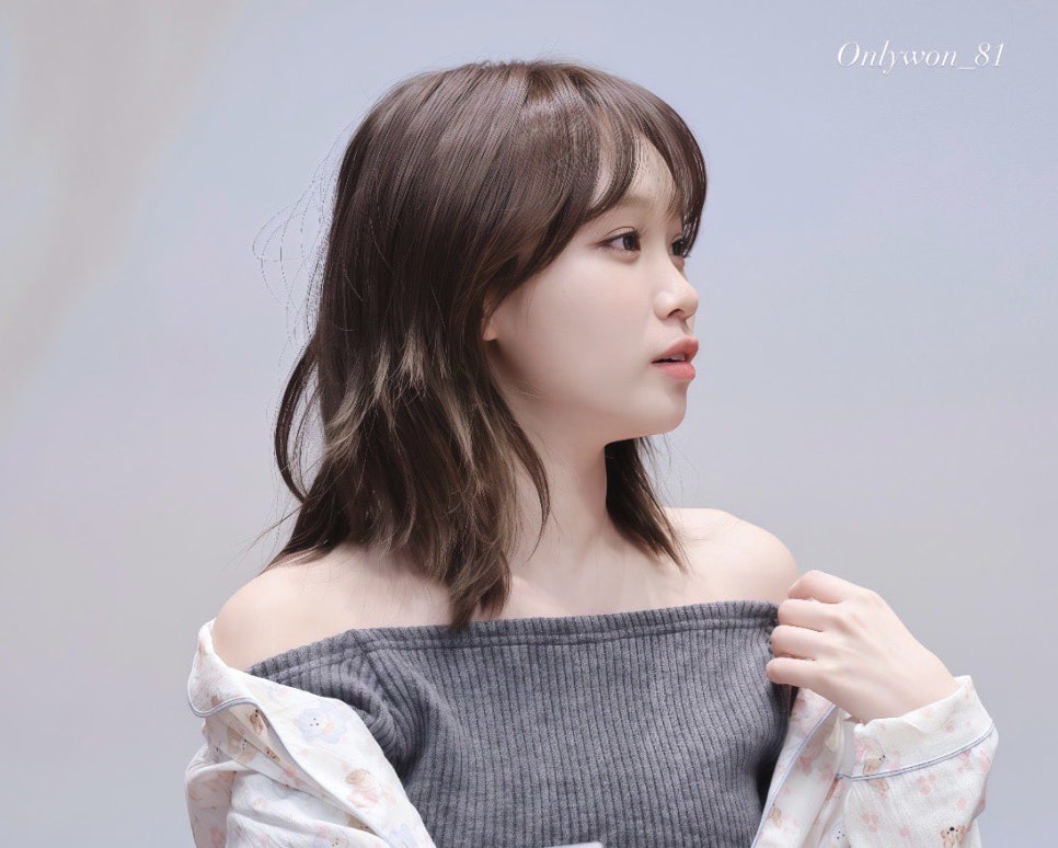 르포유 이미지