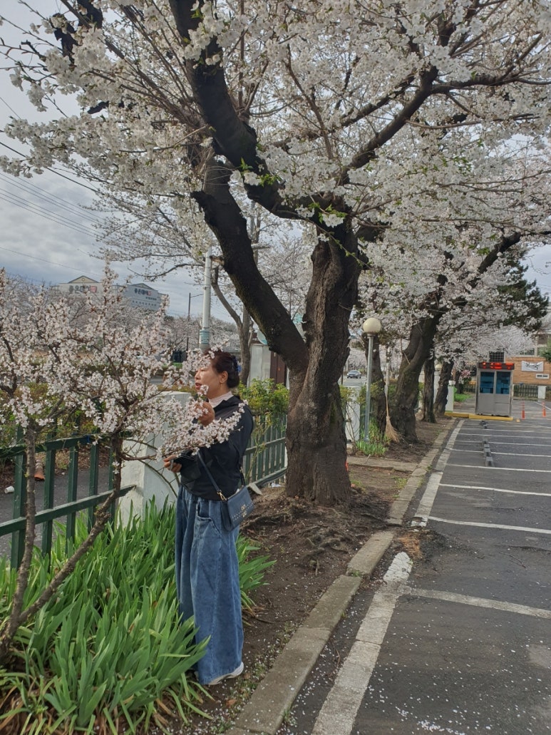 서울산보람병원 이미지