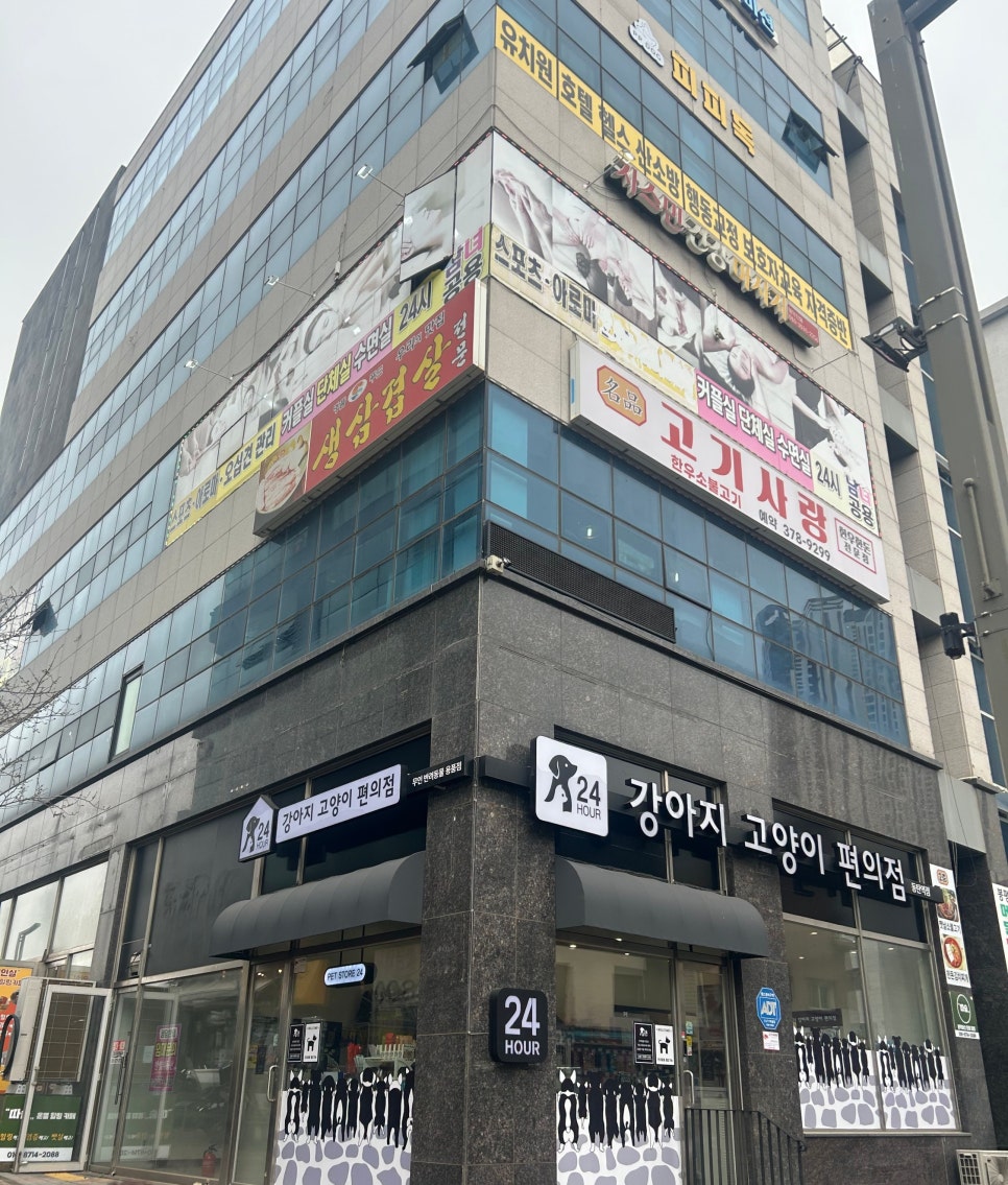 명품고기사랑 이미지