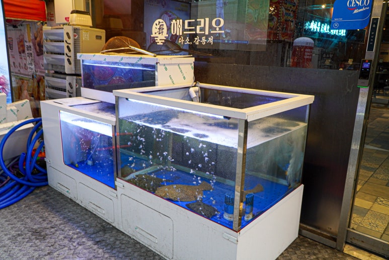 해드리오 이미지