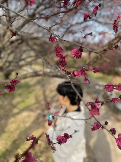 파리바게뜨(본리) 이미지