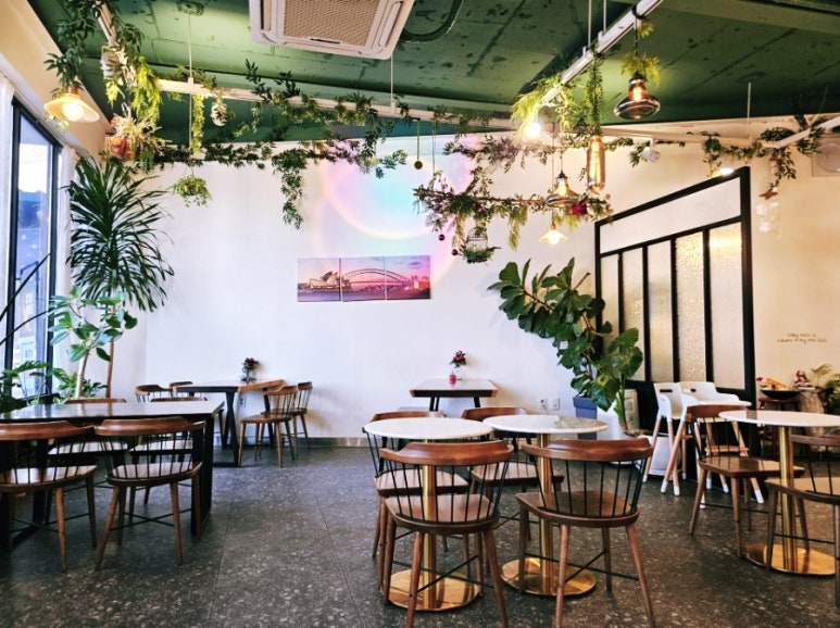 마이리틀호주 이미지