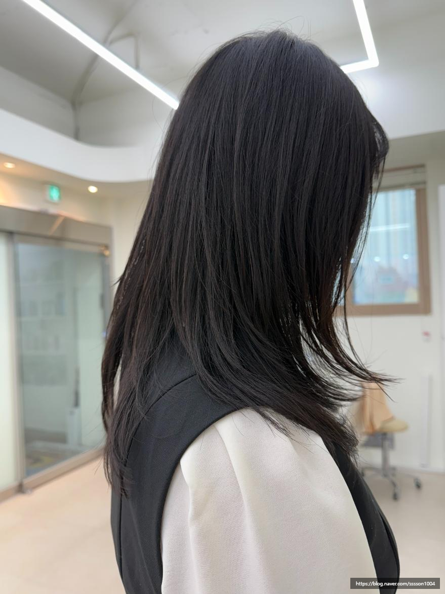 살롱드봄 이미지
