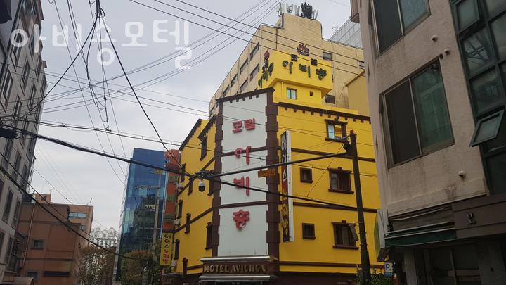 아비숑 이미지