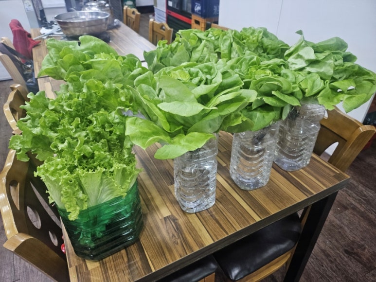 비에이치씨(BHC)통영중앙점 이미지