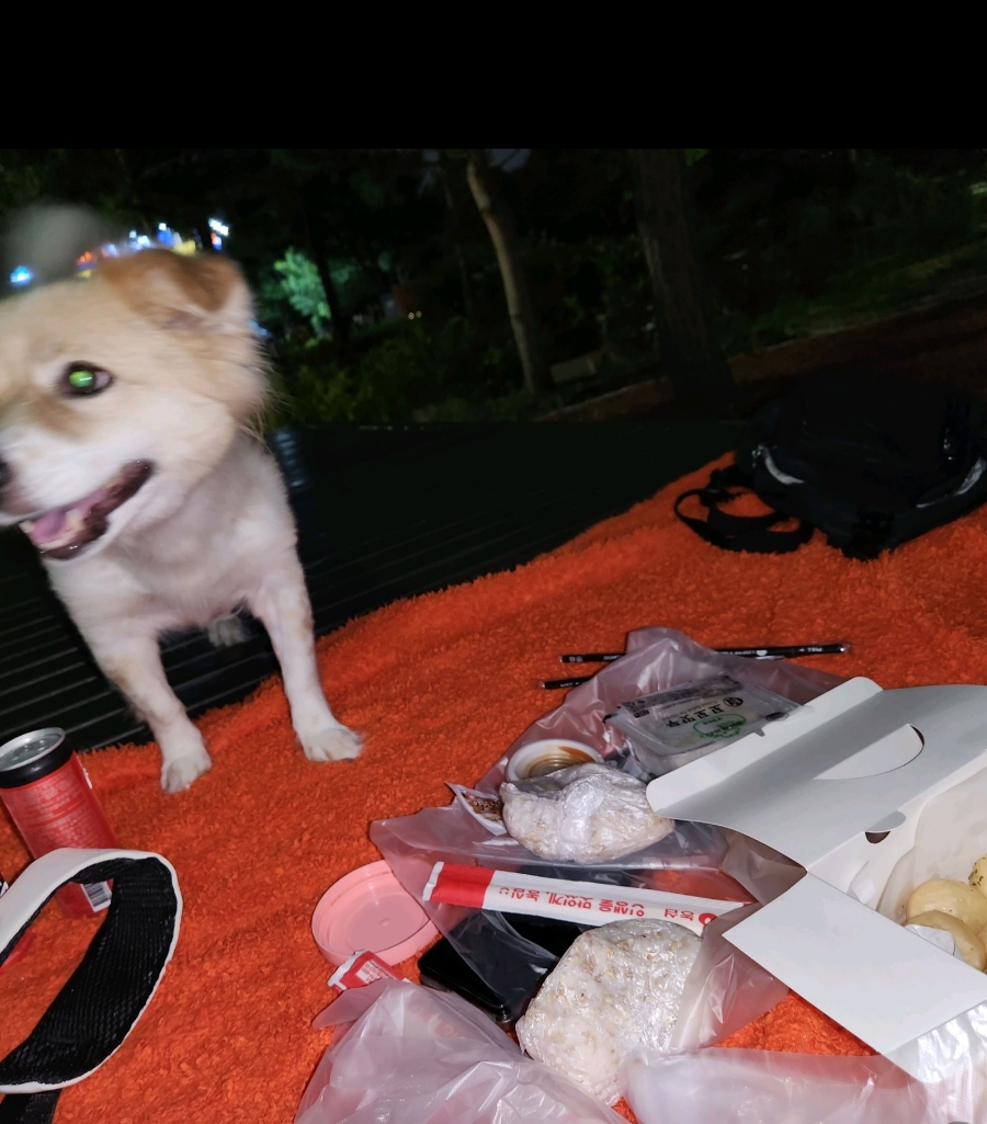 치키니즘 이미지
