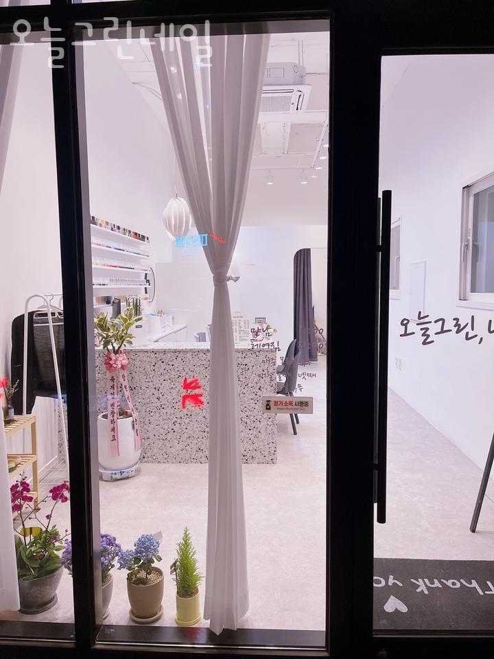 오늘그린네일 이미지