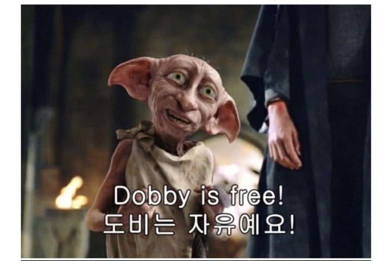 미래연여성의원 이미지