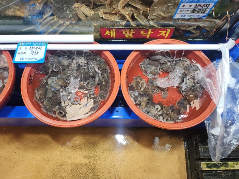 전라도장성 사진 8