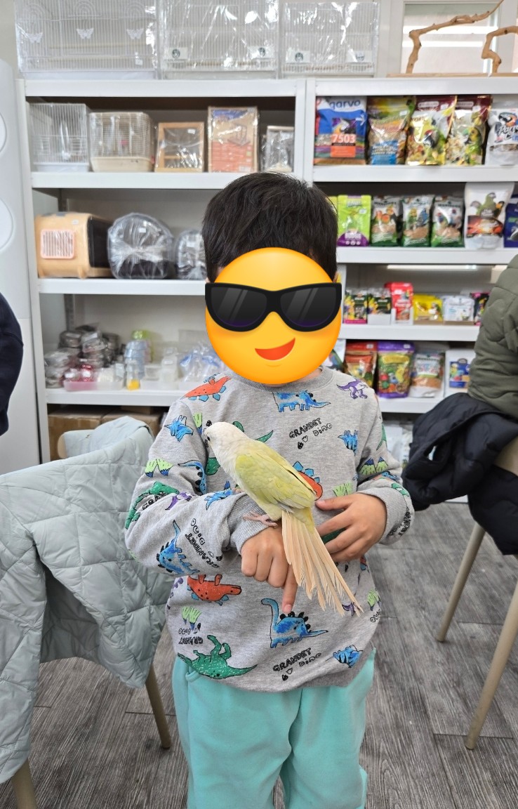 버드아뜰리에 이미지