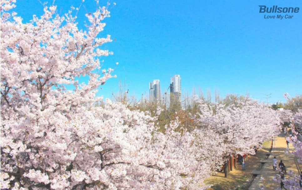 진코스 이미지
