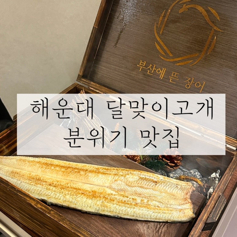 부산에 뜬 장어 이미지