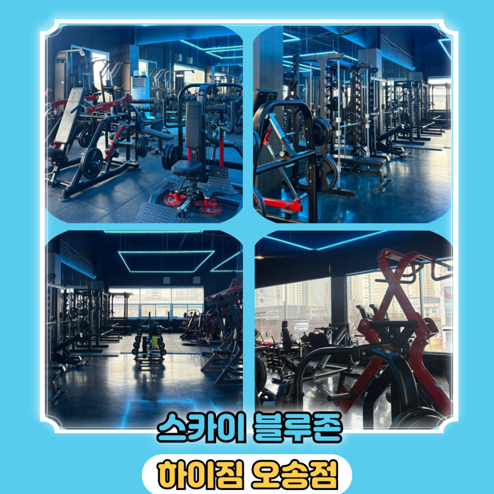 하이짐 이미지