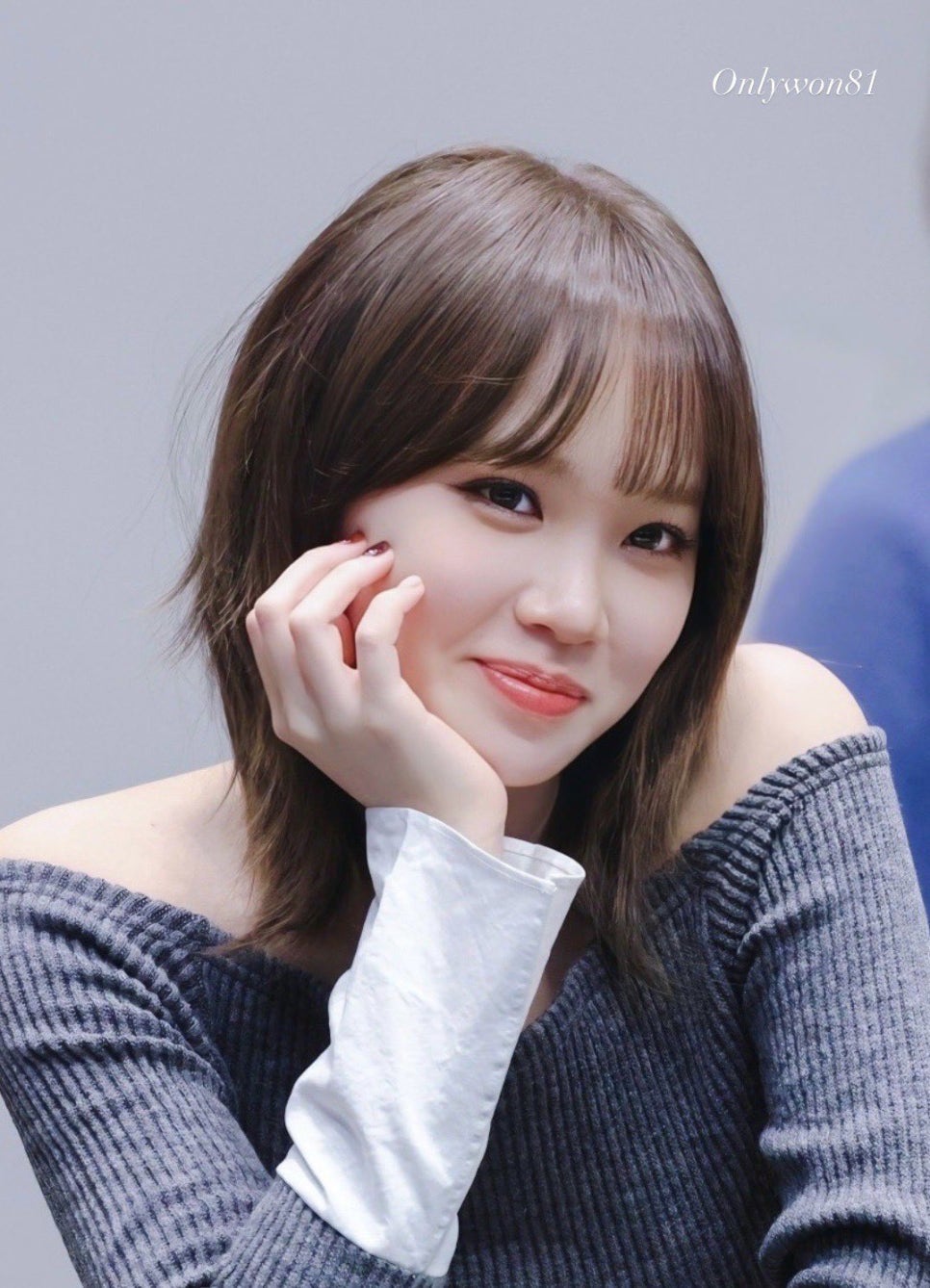 르포유 이미지