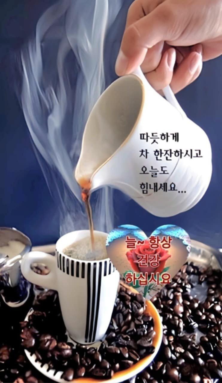 수지상사 이미지