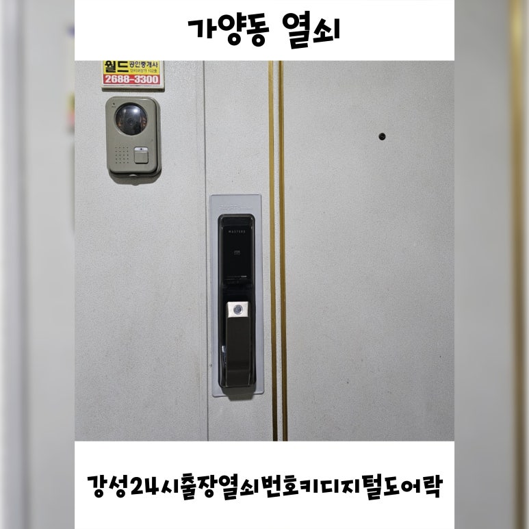 강성디지털 이미지