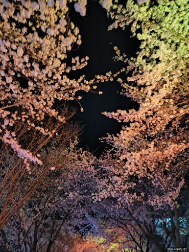 황산신발 이미지