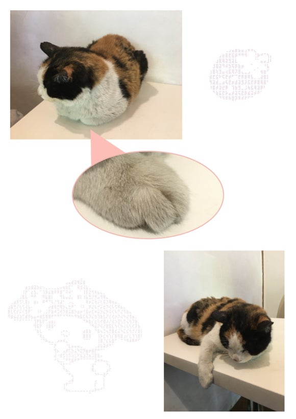 이사칠 이미지
