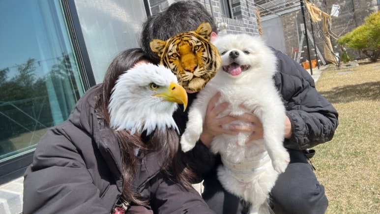 스테이미노 이미지