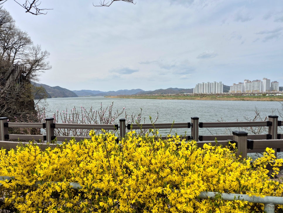 합강정(하) 이미지