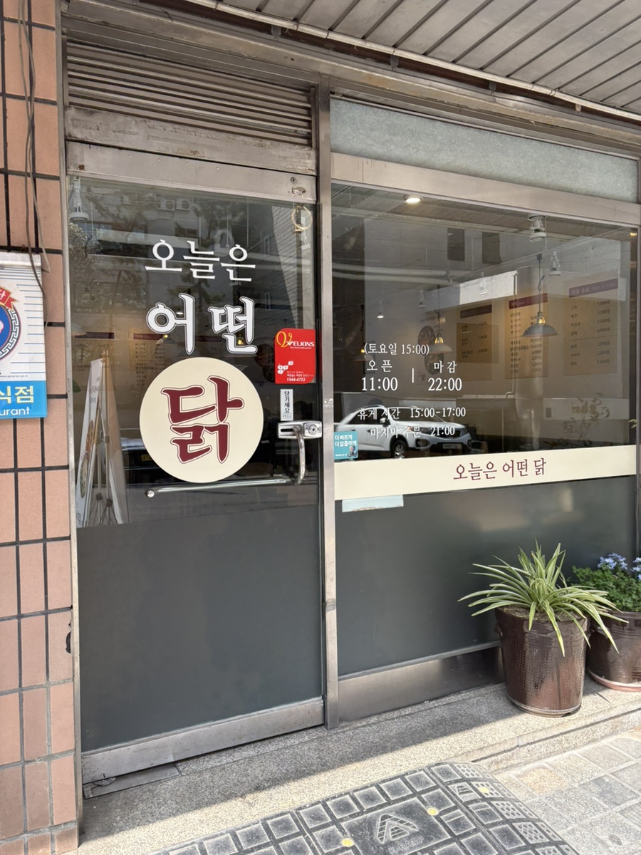 오늘은 어떤 닭 이미지