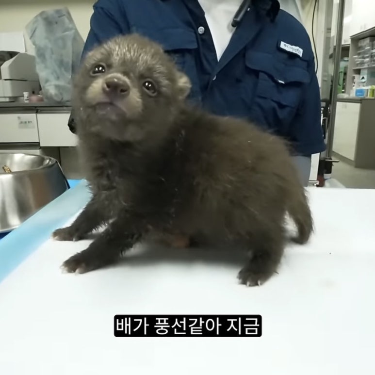 갤러리일상 이미지