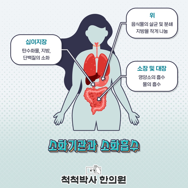 척척박사한의원 이미지