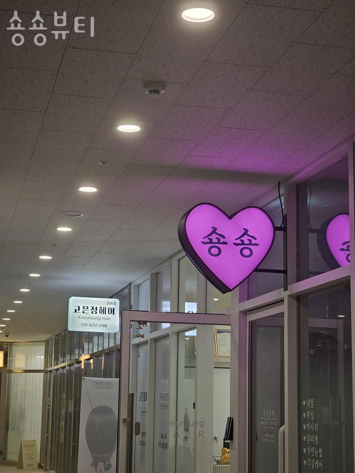 숑숑뷰티 이미지