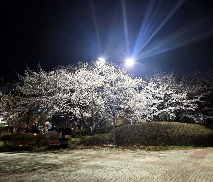 컴포즈커피(첨단월계모아점) 이미지
