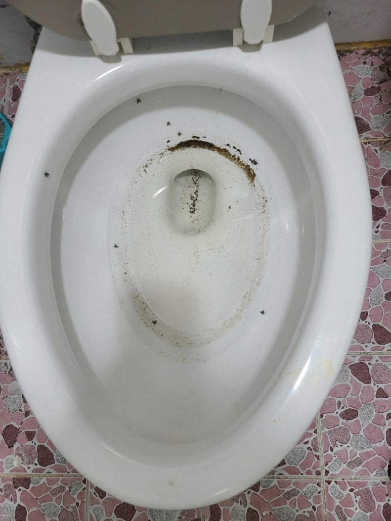 믿음환경청소 이미지