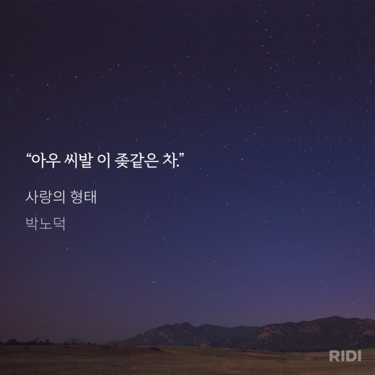 선우차유리 이미지