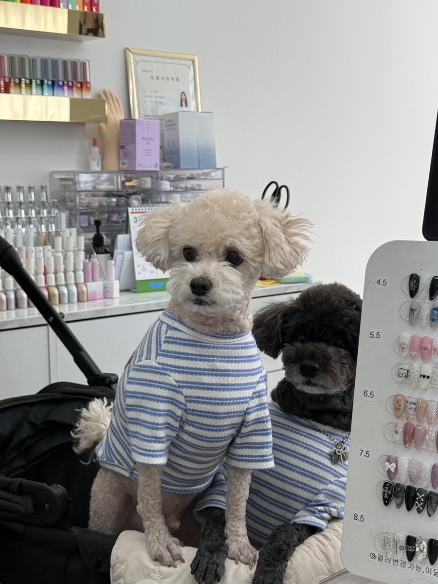 유벨르네일 이미지