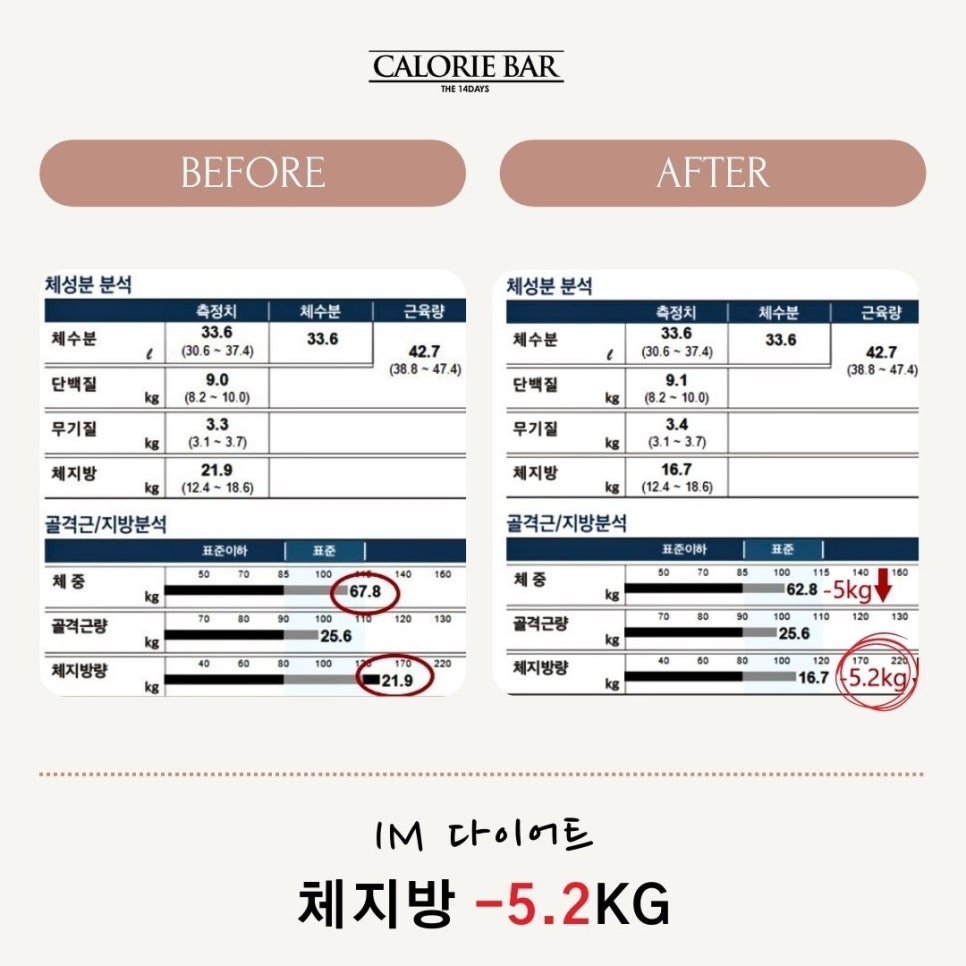 칼로리바 이미지